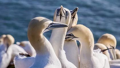 黑料入口——网红黑料有人喊“实锤”——我只问一个：真伪在哪？