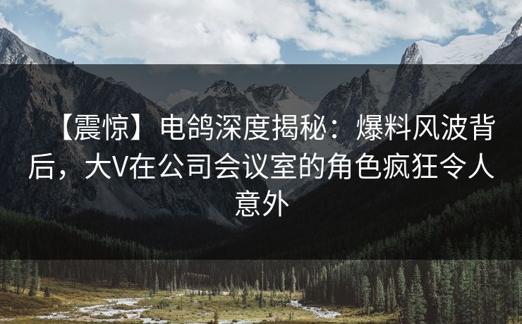 【震惊】电鸽深度揭秘：爆料风波背后，大V在公司会议室的角色疯狂令人意外