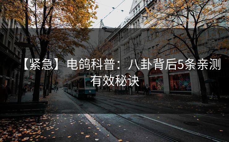 【紧急】电鸽科普：八卦背后5条亲测有效秘诀