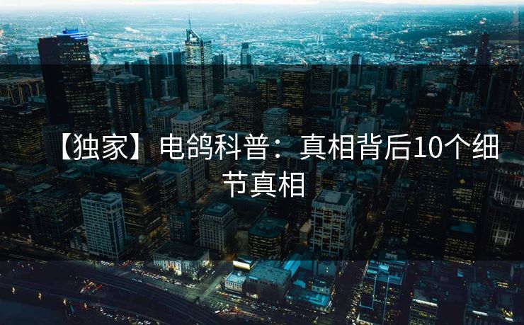 【独家】电鸽科普：真相背后10个细节真相
