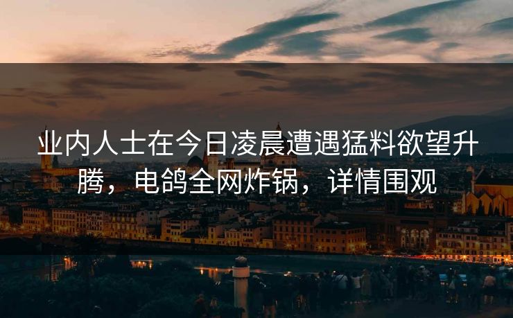 业内人士在今日凌晨遭遇猛料欲望升腾，电鸽全网炸锅，详情围观